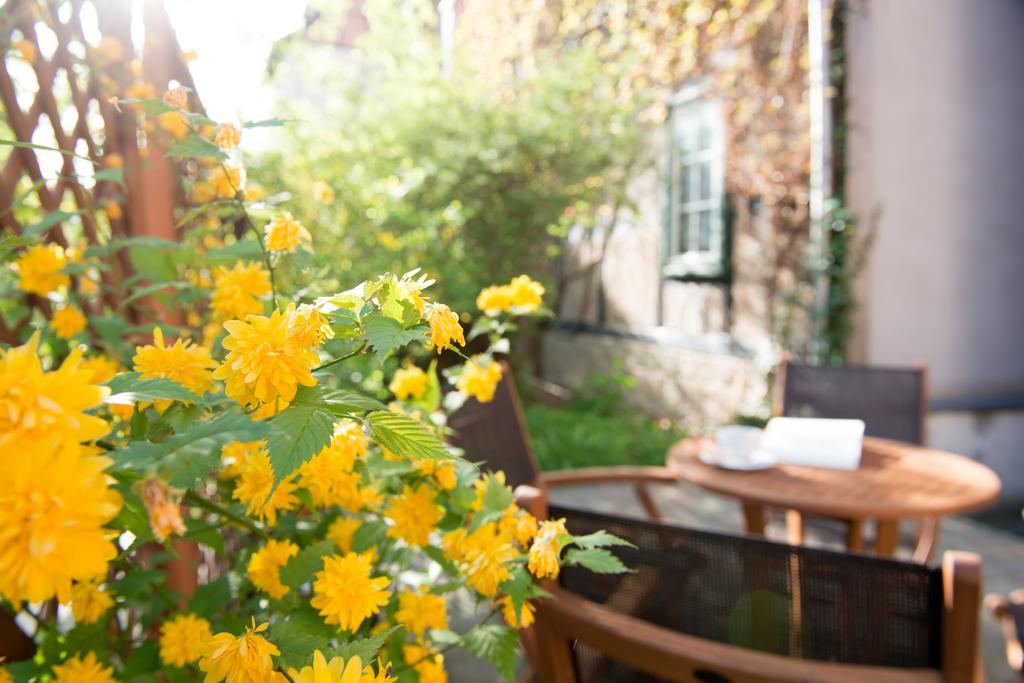 Apartmenthaus Im Stieg Quedlinburg Eksteriør billede